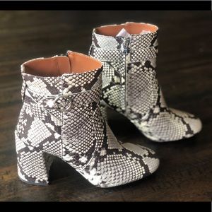 Coach Elisa snakeskin booties